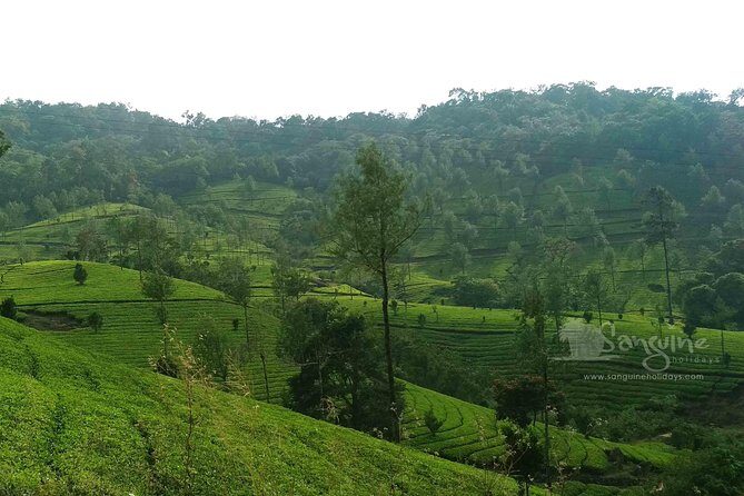 5 Days Budget Kerala Tour Packages by Sanguine Holidays - Days 1 and the Munnar approach: waterfalls you can actually fit
