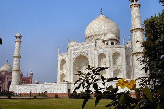 5 Days Golden Triangle Tour and Ranthambore Wildlife Safari - Golden Triangle meets Ranthambore: what the trip feels like