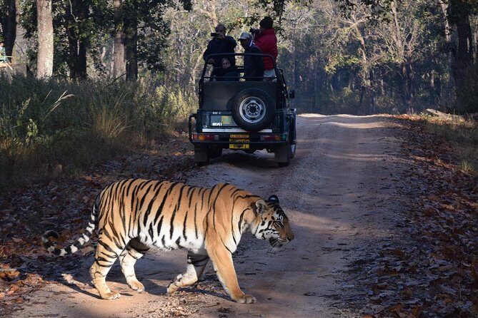 5 Days Golden Triangle Tour with Ranthambore - Day 5: Back in Delhi—drop-off after breakfast