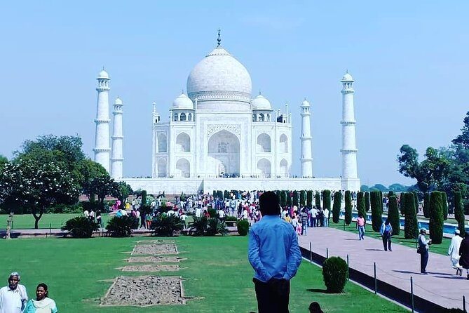 5 Days Golden Triangle Tour with Ranthambore Delhi Agra Jaipur - Price and Value: Is $399.20 Per Person Fair?