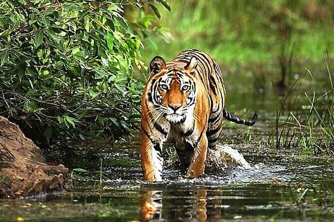 5 Days Golden Triangle Tour with Ranthambore India - The long link to Agra: when the drive becomes part of the plan