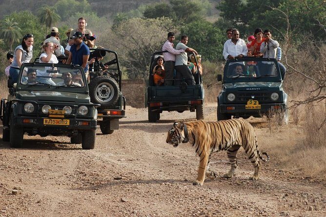 5 Days Golden Triangle Tour with Ranthambore Tiger Safari - Sunrise Taj Mahal in Agra: the classic, timed right