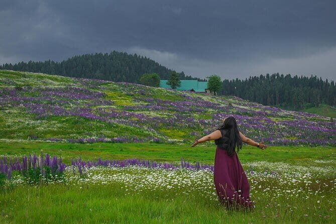 5 Days Kashmir Beauty Tour with Accommodation and Transport - Key Things That Make This Tour Worth Your Time