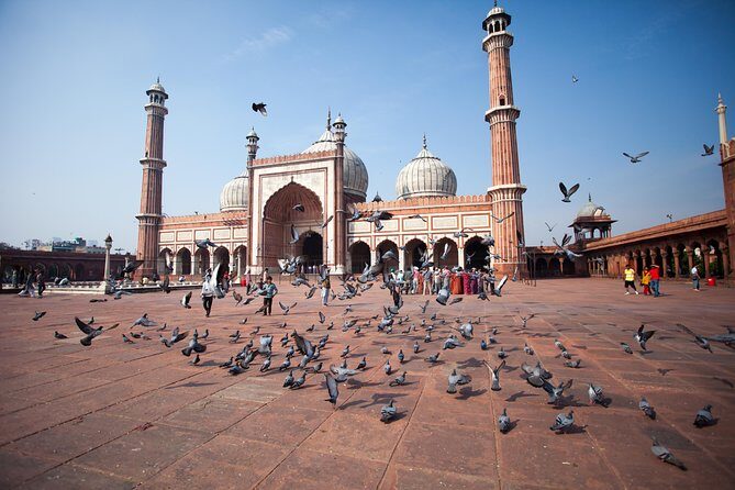 5 Days Private Golden Triangle Tour to Agra & Jaipur from Delhi - How the private guide makes the route feel tailored