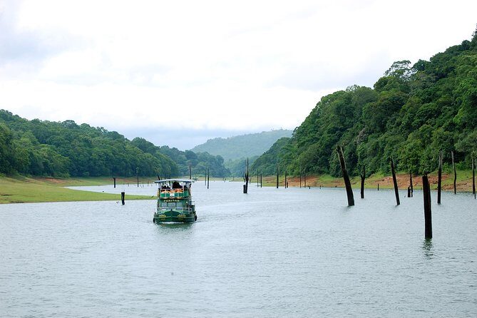 5 Days Private Kerala Tour Package by Saffron India Tours - Day 2: Eravikulam National Park + Tea Museum Time