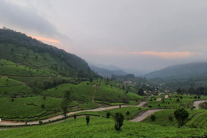 5 Days Private Kerala Tour with Houseboat by Sanguine Holidays - Day 1 near Kochi: Cheeyappara and Valara waterfalls