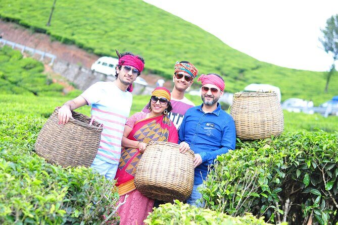 5-Days Private Kerala Tour with Sightseeing Tickets - Getting started from Kochi: a pickup that keeps Day 1 easy