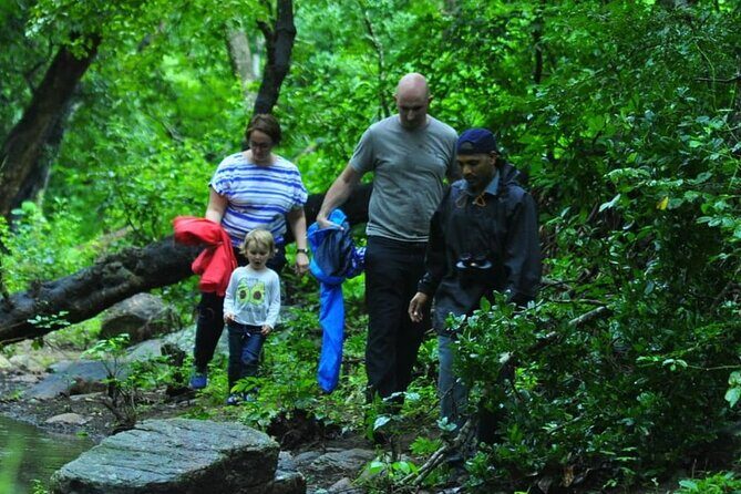 5-Days Private Kerala Tour with Sightseeing Tickets - Dam lakes and echo spots: why these short stops work in Munnar