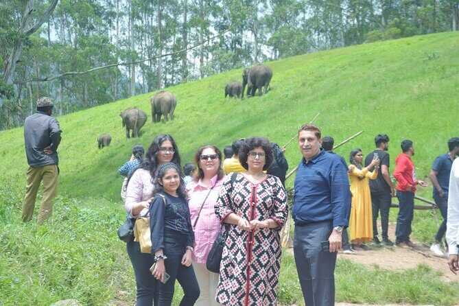 5-Days Private Kerala Tour with Sightseeing Tickets - Day 2 in Munnar: Eravikulam National Park and tea-tinged viewpoints