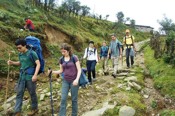 5-Days Singalila Ridge Trek in Darjeeling - Day 4: Phalut to Gorkhey, Forest Descent, and More Mountain Chances