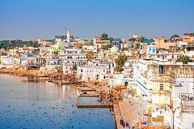 5 Nights 6 Days Private Golden Triangle Tour with Ranthambore - Day 3 in Ranthambore: afternoon safari and tiger-country anticipation