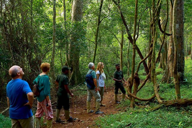 6-Day Kerala Private Tour: Periyar Wildlife Sanctuary - Price and What You Actually Get for $659