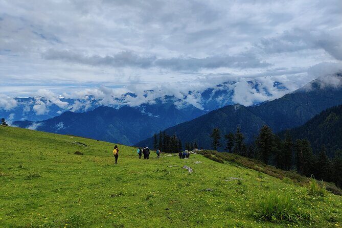 6 Days Phulara Ridge Trek - Day 5 Taluka Descent: Langoors in the Trees and Village Life
