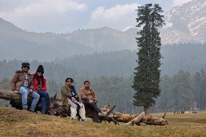 6 Days Private Tour in Kashmir - Day 4 Movement: Back Toward Srinagar and Dal Lake Time