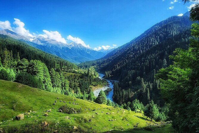 6 Days Private Tour in Kashmir - Who This Tour Fits Best (and Who Might Want a Different Plan)