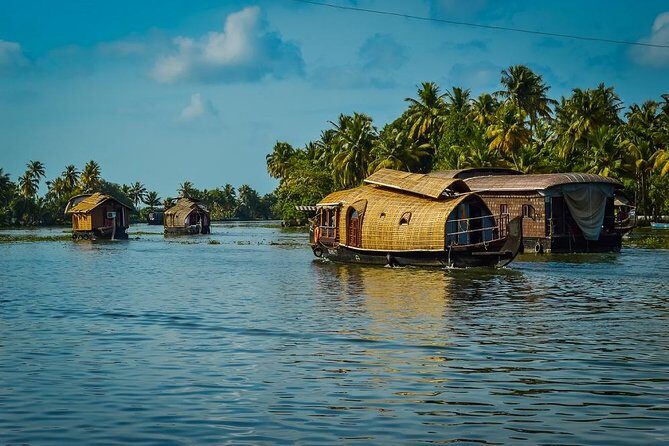 6 Days Private Tour Kerala Natural Retreat - Kochi airport welcome and an easy start