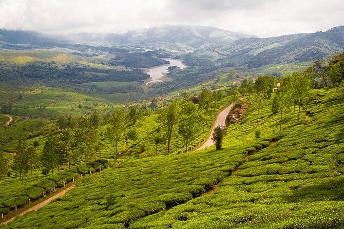 6 Days Private Tour Kerala Natural Retreat - Rajamalai (Eravikulam) National Park: wildlife time with a schedule