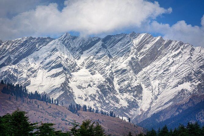 6 Days Shimla Manali Chandigarh Tour (Ex- Delhi) - Shimla first taste: check-in, then Ridge-and-Mall energy