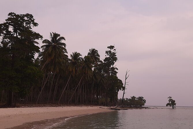 6D/5N Offbeat Walking Holiday in South and Middle Andamans - Day 5: Flag Point Trianga and Cellular Jail with its evening show