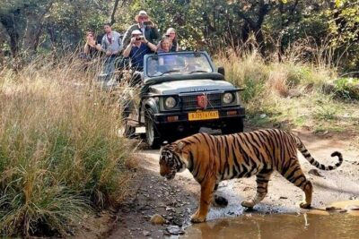 7-Day Golden Triangle Tour with Ranthambore Tiger Safari - Day 1: Delhi arrival, Jama Masjid and Chandni Chowk by rickshaw