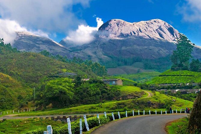 7-Day Kerala Luxury Tour from Cochin with Private Driver - Cochin to Fort Kochi: a clean start on Day 1