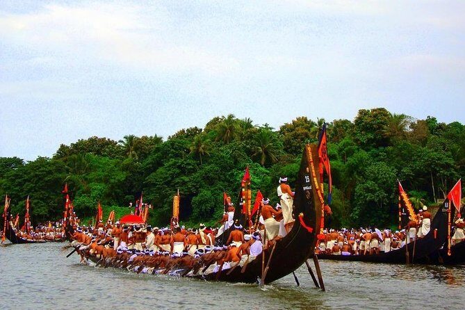 7-Day Kerala Luxury Tour from Cochin with Private Driver - Price and value: what $620 buys in real comfort