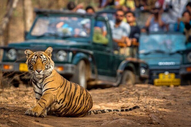 7 Days Golden Triangle Tour with Ranthambore & Varanasi Tour - Kashi Vishwanath Temple and Sarnath: temple devotion plus a calmer historical detour