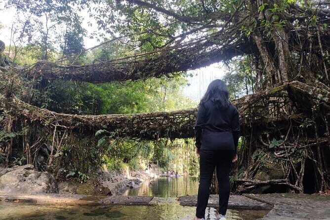 7 days kaziranga meghalaya tour package - How this 7-day Kaziranga to Meghalaya route fits together