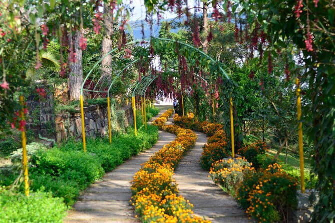 7 days kaziranga meghalaya tour package - Krang Suri Waterfall plus Kaziranga: two different kinds of wow