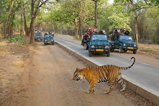 8 Day Golden Triangle Tour with Ranthambore {Taj , Tigers & More} - The Golden Triangle plus Ranthambore formula that actually works