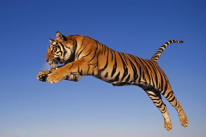 8 Day Golden Triangle Tour with Ranthambore {Taj , Tigers & More} - Fatehpur Sikri en route: a quick detour that adds meaning