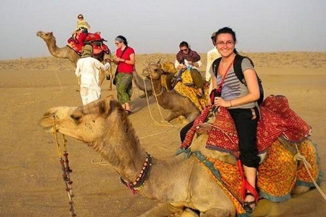 8 Day Rajasthan Tour: Udaipur Jodhpur Jaisalmer Bikaner & Jaipur - Day 7 in Jaipur: Hawa Mahal, Amber Fort, Jaigarh Fort, City Palace, Jantar Mantar