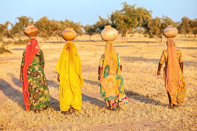 8 Days Golden Triangle Tour with Ranthambore Tiger Tour - Delhi first: from Old Delhi lanes to iconic British-era landmarks