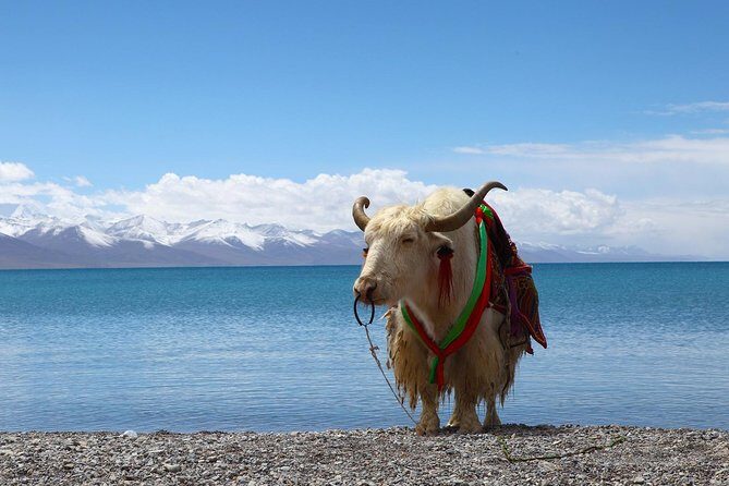 8-Days Heavenly Himalayas- LEH-LADAKH - First Day in Leh: Arrive, Settle, Then Breathe