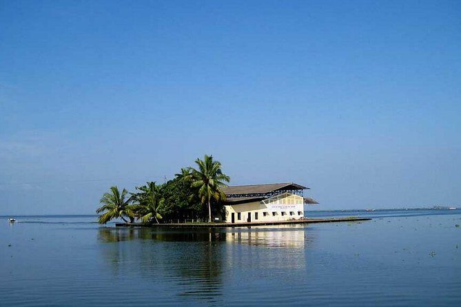 8 Days Kerala Private Tour (3 Star) with Munnar, Houseboat & Cab- Iris Holidays - Munnar Sightseeing: Tea Hills, Viewpoints, and Easy Excursions