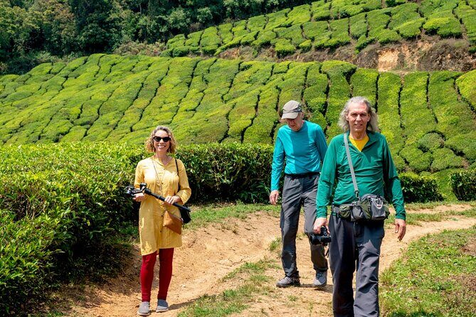 8 Days Kerala Private Tour Covering Kochi- Munnar- Periyar- Alleppey and Kovalam - Key things to know before you go