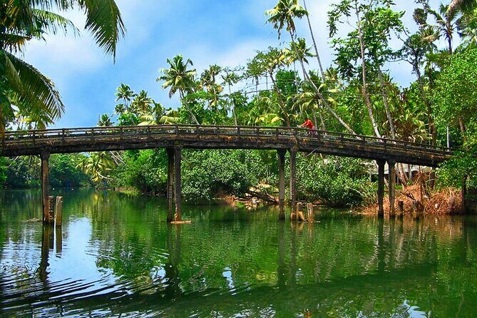 8 Days Kerala Private Tour Covering Kochi- Munnar- Periyar- Alleppey and Kovalam - Day 4: from Munnar to Periyar for real wildlife time