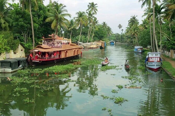 8 Days Kerala Tour Package with Houseboat Stay - Thekkady Day 4: Check in, then let wildlife country breathe