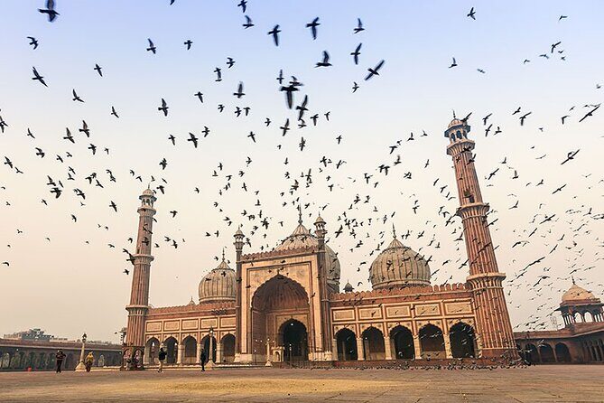 8 Days Private Luxury Tour of Taj Mahal & Palaces of India - Timeless Royalty - Taj Mahal and Fatehpur Sikri: Timing Help Plus Less Back-Braking