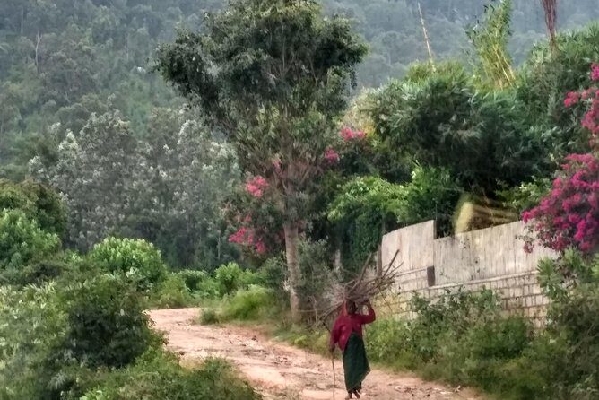 A Day At Nandi - Quick, high-value takeaways