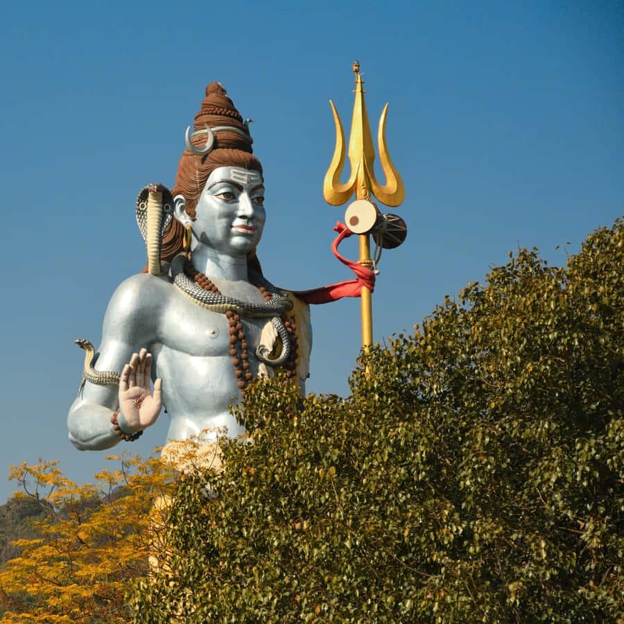 A Divine Day Out: Haridwar Sightseeing Tour - Should You Book the Haridwar Sightseeing Day Out?