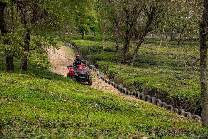 Adventure Activity ATV RIDE 2.25 Kms RZR 570 - The scenery payoff: Dhauladhars, tea country, and quick photo stops