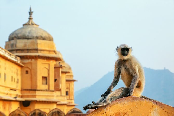 Adventurous & Classical India Curated Journey: South & Golden Triangle - Jaipur’s royal geometry: City Palace, Amber, Hawa Mahal, then the forts ring