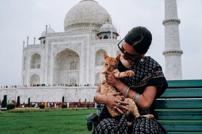 Agra Half-Day Tour of Taj Mahal and Agra Fort by Car - Pickup at 8:00 AM (or earlier): Your Day Starts Smooth