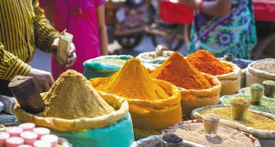 Agra: Indian Food Private Cooking Class - Price and value: why $27 can be a good deal here