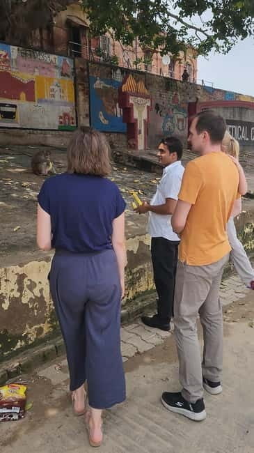Agra: Monkey Safari Guided Walking Tour - Watching langurs and rhesus macaques without putting yourself in the way