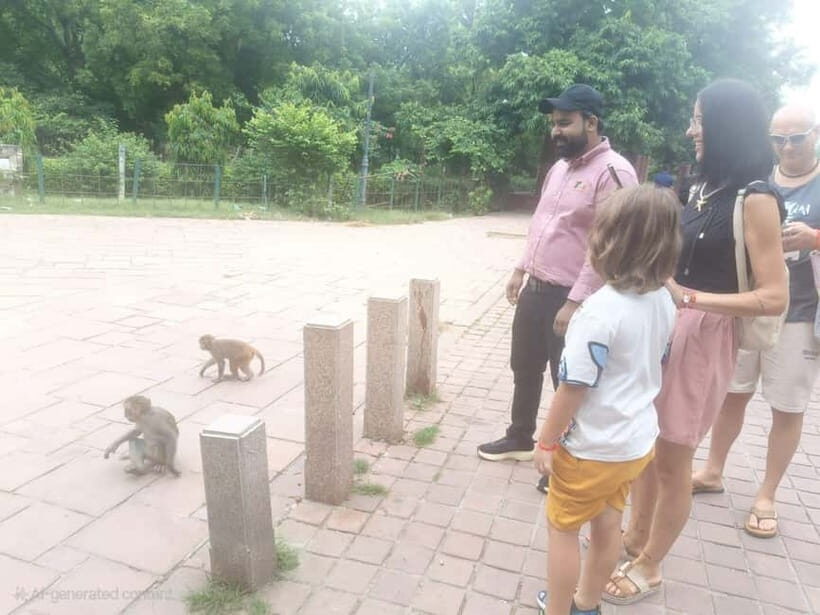 Agra: Monkey Safari Guided Walking Tour - How your guide explains monkey behavior and human coexistence