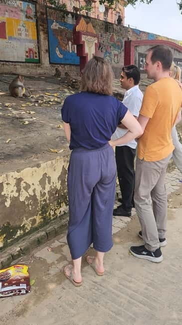 Agra: Monkey Safari Guided Walking Tour - Photo moments, safe angles, and the best time to go