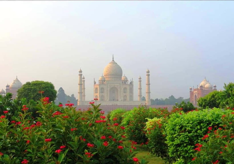 Agra: Private Tour Guide in Agra full-day - Starting from Radisson Agra: a simple, low-stress meeting setup