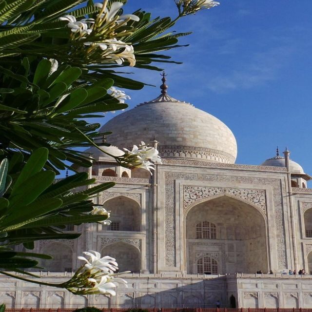 Agra: Taj Mahal Guided Tour with Tuk-Tuk - Tuk-Tuk Logistics: Pickup, Pacing, and What to Expect